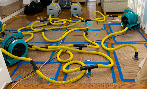 Professional Burst Pipe Water Damage technician working in Stilesville, IN